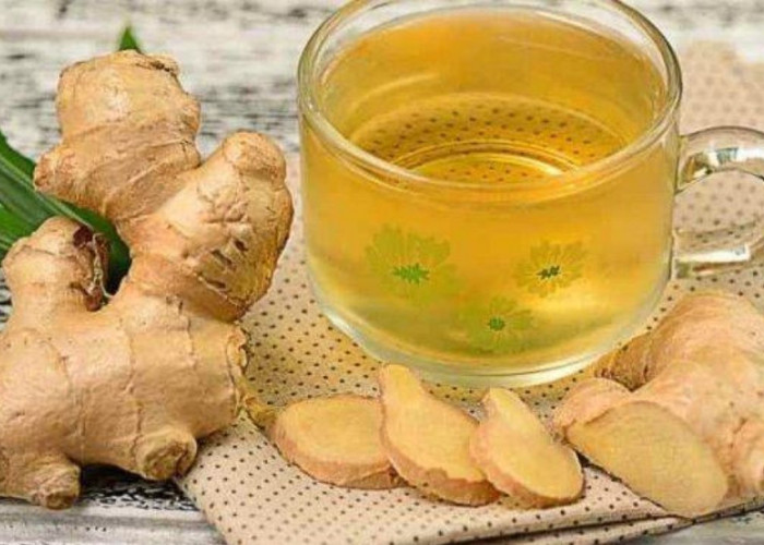 Resep Minuman Herbal dr. Zaidul Akbar: Solusi Alami untuk Batuk dan Tenggorokan Berlendir!