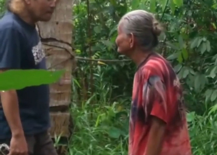 Lansia 83 Tahun Dilaporkan atas Tuduhan Pencurian 20 Buah Kelapa