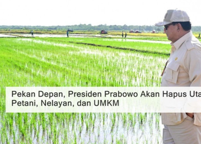 Waw! Program Penghapusan Utang Dimulai: Langkah Nyata Pemerintahan Prabowo untuk UMKM, Petani, & Nelayan!