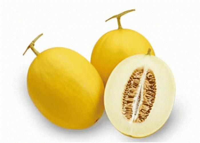 Manfaat Melon Golden yang Lagi Viral: Superfruit Manis dengan Khasiat Mengagumkan!