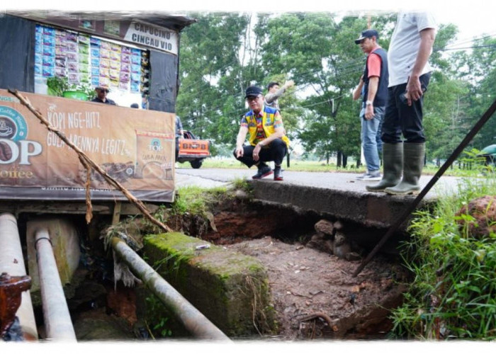Penanganan Banjir di Banyuasin: Penjabat Bupati Hani Syopiar Rustam Pastikan Proses Pengerjaan Berjalan Lancar