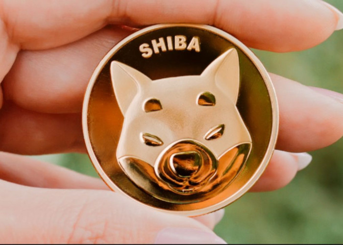 Shiba Inu (SHIB) Siap Menggeser Dogecoin (DOGE) Sebagai Memecoin Terkemuka, Ini Alasannya!