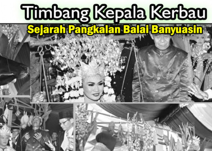 Mengenal arti Timbang Kepala Kebo: Tradisi Adat Pernikahan di Kota Pangkalan Balai Banyuasin, Urang Tubo Nian!
