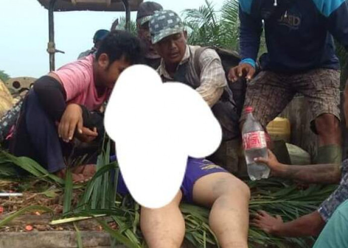 Karyawan PT SAL Asal Sedang Banyuasin Tewas Terlindas Ban Jonder Saat Panen Sawit