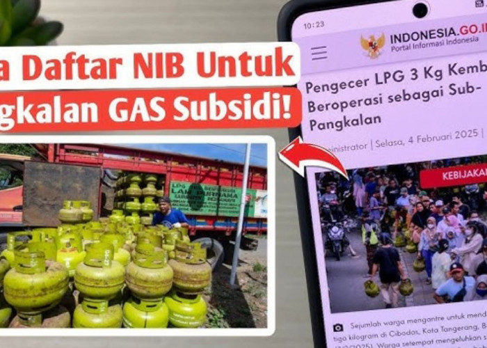 Intip Yuk! Cara Mendapatkan NIB agar UMKM Bisa Mengakses LPG 3 Kg Bersubsidi!