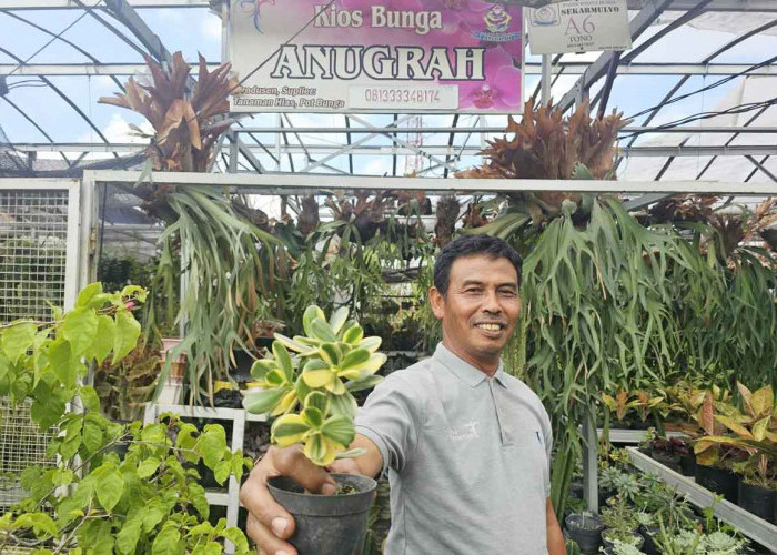 Sukses Jadi Mata Pencaharian Warga Sekitar, Ini Kisah Klaster Usaha Tanaman Hias Binaan BRI di Kota Batu