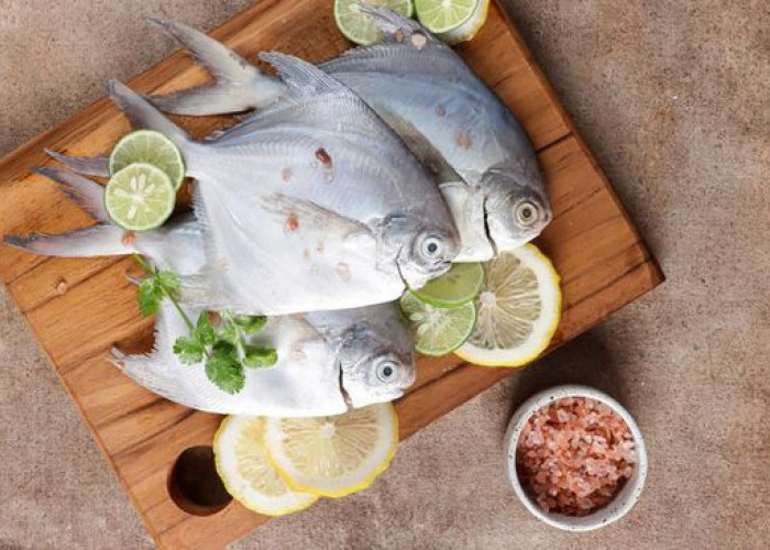 Jaga Kesehatan, Kenali 3 Jenis Ikan dengan Kolesterol Tinggi untuk Dihindari