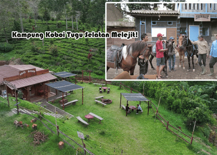 Kampung Koboi Tugu Selatan Melejit! Dari Kampung Teksas Jadi Motor Ekonomi Desa BRILiaN