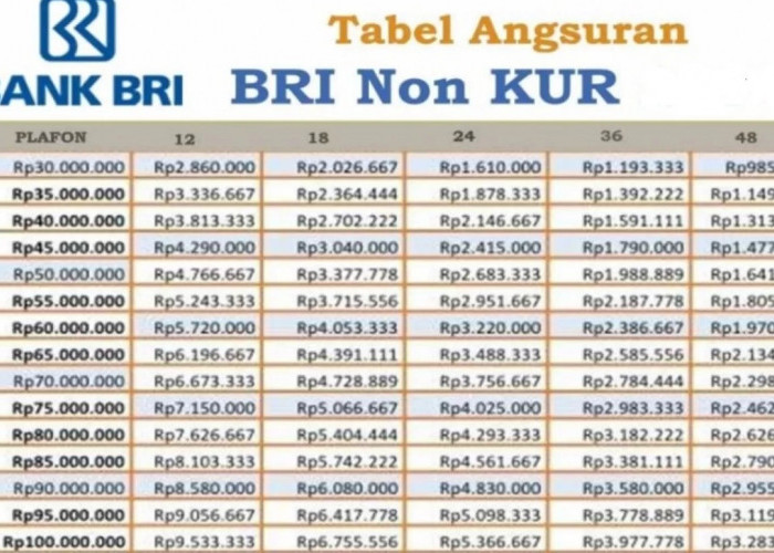 Bank BRI Buka Pinjaman Tanpa Agunan Guru PPPK: Briguna Karya Non KUR Rp 50 Juta dengan Cicilan Ringan 