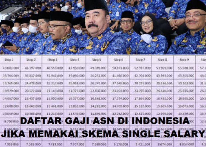 Perbedaan Gaji PNS dan PPPK Jika  Skema Single Salary Diterapkan Pada 2026