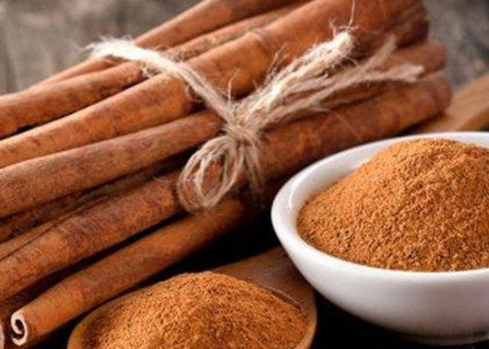 Kayu Manis dan Ginjal: Harapan Baru dari Dapur Nusantara