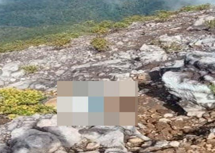 Pagaralam Geger dengan Penemuan Jenazah Pria di Puncak Gunung Dempo