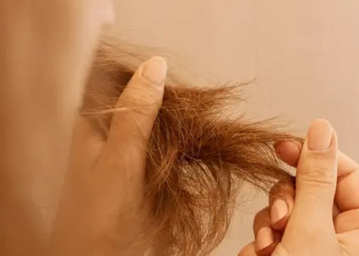 Rahasia Awet Muda Rambut: Kenali Ciri-ciri Penuaan yang Tersembunyi dan Cara Perawatannya!