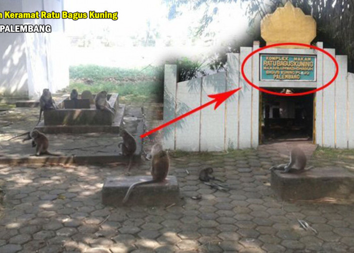 Sejarah Makam Keramat Ratu Bagus Kuning di Plaju Palembang, Terdapat Puluhan Kera Penjaga Disini, Lihat Yuks !