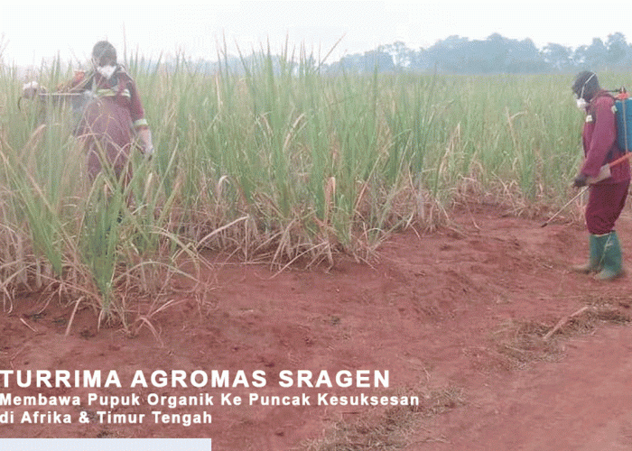Produsen Pupuk Organik Sragen, Turrima Agro Mas, Raih Penghargaan Khusus di Kamerun