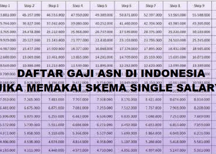Pemerintah Bakal Terapkan Single Salary? Segini Gaji PNS dan PPPK Jika Mulai Diterapkan 2026