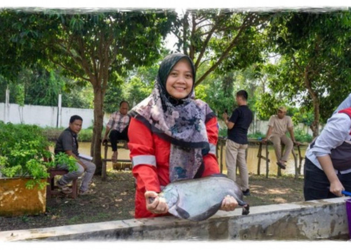 Program TJSL di Laksanakan Demi Mengatasi Populasi Ikan Belida Terus Menurun di Sumatera Selatan!
