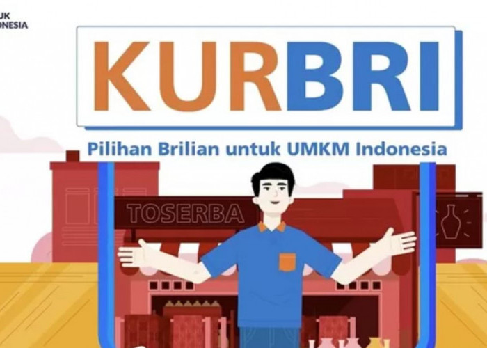 Kredit Usaha Rakyat (KUR) Mikro vs KUR Kecil BRI: Mana yang Cocok untuk Bisnismu?