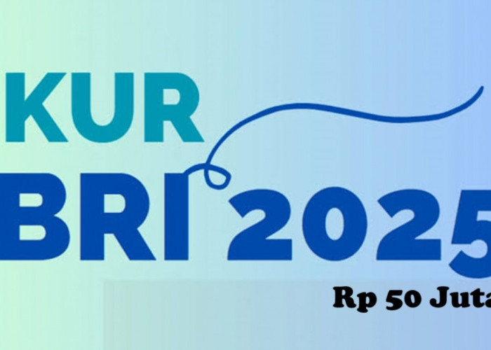 KUR Kecil BRI 2025: Solusi Modal Usaha Hingga Rp500 Juta untuk UMKM Indonesia!