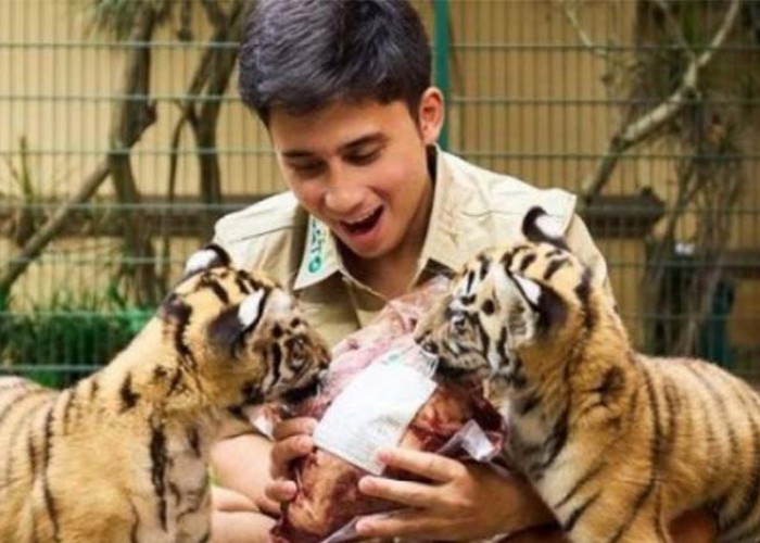 Duka Alshad Ahmad, Harimau Kesayangannya Meninggal Dunia: Rekan Artis Meratapi, Netizen Geregetan