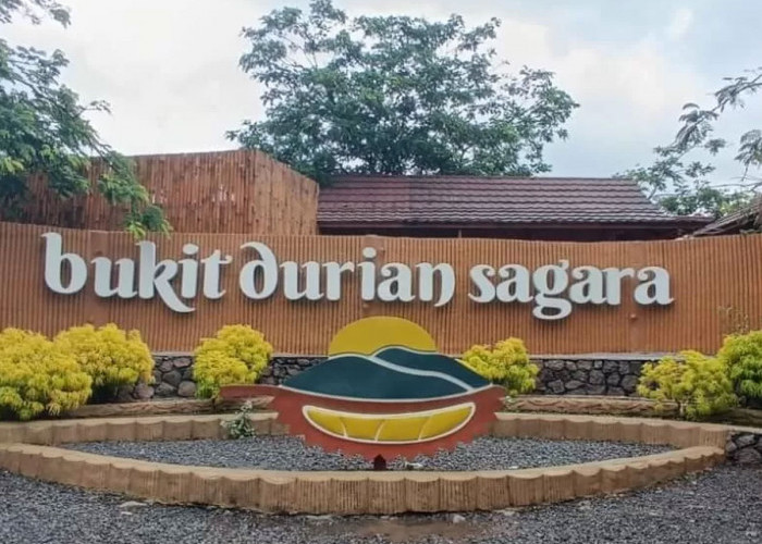 Keindahan Bukit Durian Sagara di Sukabumi: Surga Pecinta Durian dan Panorama Alam