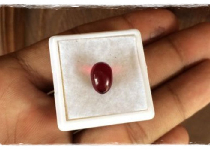 Ternyata Batu Merah Delima Memiliki Kekuatan Mistis untuk Kesehatan dan Kebahagiaan Benarkah?