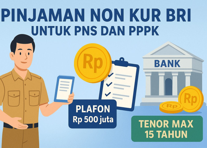 Pinjaman Non KUR BRI untuk PNS dan PPPK: Solusi Finansial Andal bagi Abdi Negara