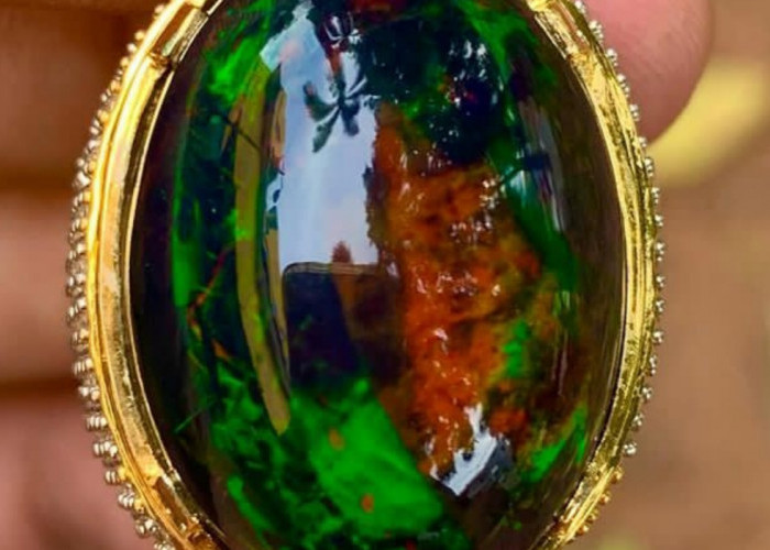 Batu Akik Kalimaya Black Opal, Oh! Pesona Kembang Bendera yang Memikat Hati