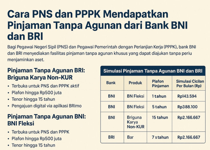 Cara Mendapatkan Pinjaman Tanpa Agunan dari Bank BNI dan BRI Bagi PNS dan PPPK 