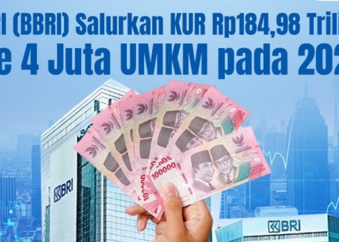 Inilah Peran Kredit Usaha Rakyat (KUR) dalam Mendorong Sektor Produktif UMKM!