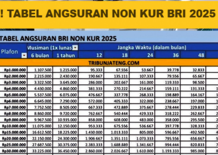Pinjaman Non KUR BRI 2025: Modal Cepat Rp 10 hingga 100 Juta Tanpa Ribet!