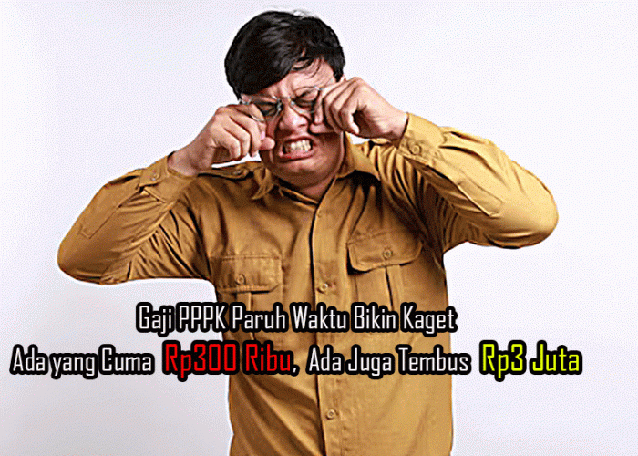 Gaji PPPK Paruh Waktu Bikin Kaget: Ada yang Cuma Rp300 Ribu, Ada Juga Tembus Rp3 Juta!