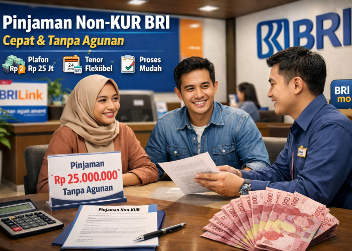 Tabel Pinjaman Non KUR BRI Tanpa Agunan hingga Rp25 Juta, Opsi Fleksibel Awal 2026