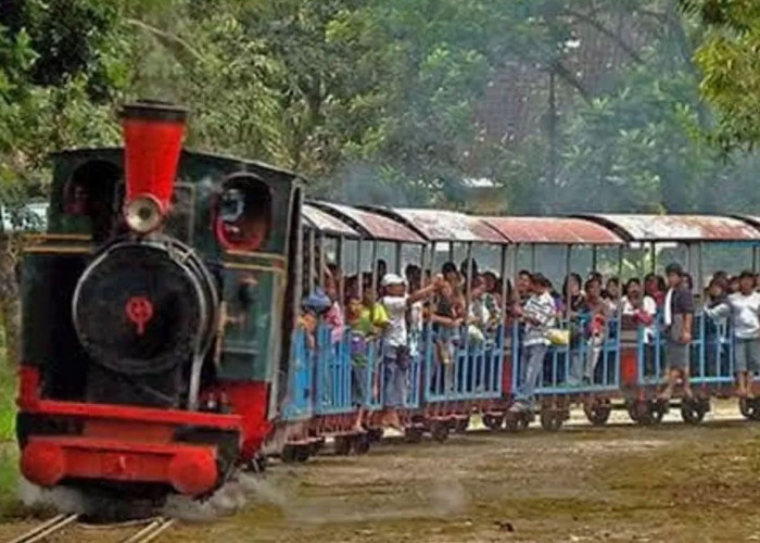 Wisata Edukasi di Pabrik Gula Tasikmadu Karanganyar: Kereta Uap dan Sejarah Gula