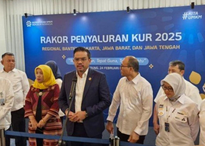 Inilah Peran Bank Himbara dalam Distribusi KUR 2025, Seberapa Efektif?