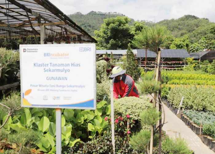 Perkuat Ekonomi Kerakyatan, BRI Berdayakan 41 Ribu Klaster Usaha melalui Pembiayaan dan Literasi Keuangan
