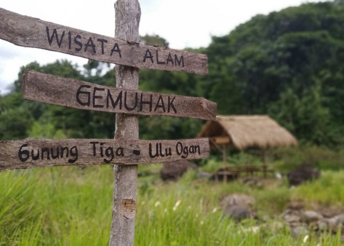 Menjelajahi Keindahan Air Panas Gemuhak: Destinasi Wisata Unik di Muara Enim