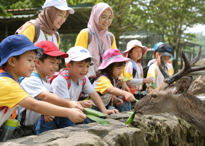Liburan Keluarga Anti Bosan, Jelajahi 5 Wisata Edukasi Paling Hits di Bogor 