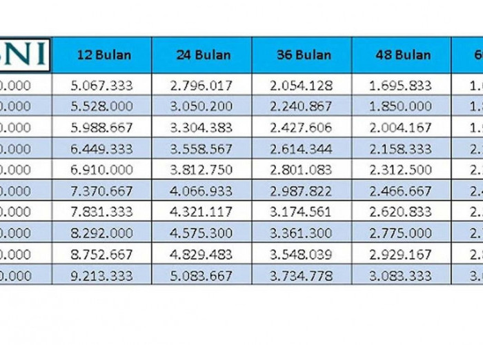 Cicilan Mulai Rp 1 Jutaan, BNI Tawarkan Pinjaman Fleksi Khusus Guru PPPK