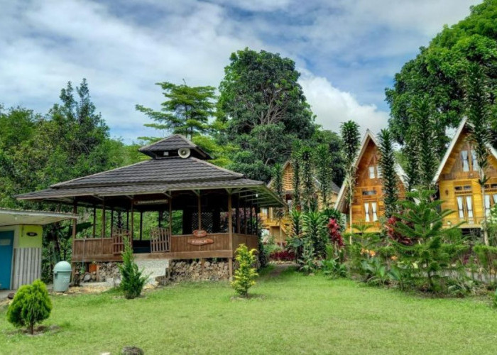 Wah! Green Paradise Pagar Alam: Serunya Liburan Keluarga dari Flying Fox hingga Berkuda Lho!