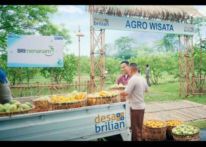 Lewat Program Desa BRILiaN, BRI Dorong Terwujudnya Desa Wisata Sebagai Destinasi Unggulan Daerah
