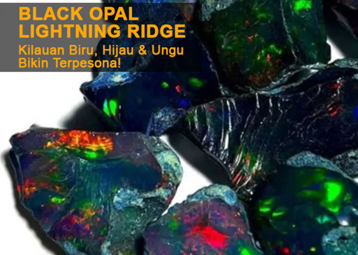 Black Opal Lightning Ridge: Batu Akik Wajib Jadi Pilihanmu 2024 - Kilauan Biru, Hijau & Ungu Bikin Terpesona!