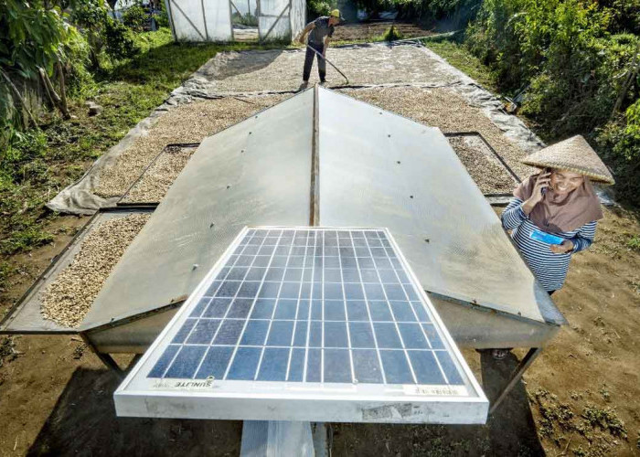 BRI Perkuat Komitmen terhadap SDGs demi Menjadi World-Class Sustainable Banking Group