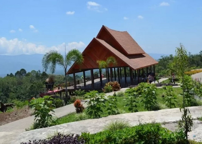 Dempo Park: Pesona Taman Bunga di Kaki Gunung Dempo