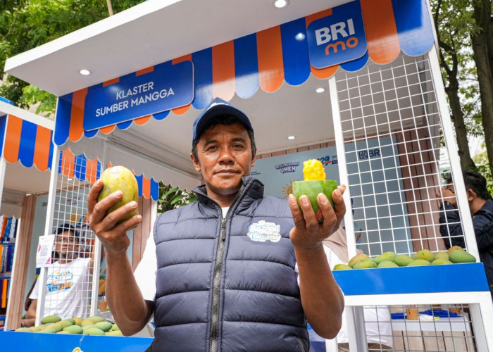 BRI Dorong Petani Mangga Bondowoso Go Digital, Tingkatkan Pendapatan dan Luas Lahan