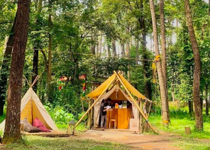 Hutan Wisata Punti Kayu: Alternatif Liburan Keluarga di Tengah Kota Palembang