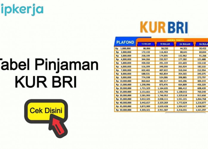 Bunga Ringan KUR BRI: Solusi Modal Usaha Pangkalan Gas Melon