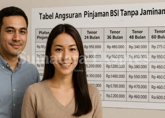 Bank BSI Buka Pinjaman untuk PNS dan PPPK, Pembiayaan Non KUR Plafon Tembus Rp500 Juta di Akhir 2025