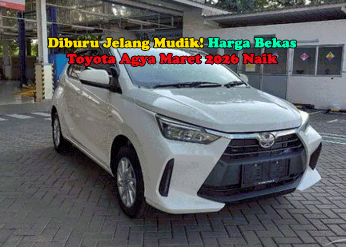 Diburu Jelang Mudik! Harga Bekas Toyota Agya Maret 2026 Naik, Ini Daftar Lengkapnya