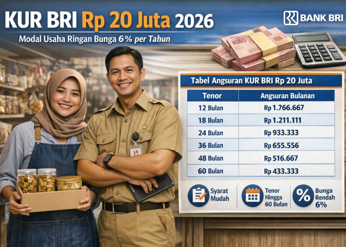 Pinjaman KUR BRI Rp20 Juta 2026: Solusi Modal UMKM dengan Cicilan Ringan dan Tenor Panjang